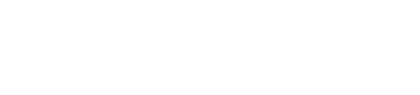 Logo Footer